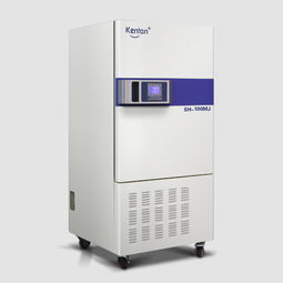 實驗室設備廠商 實驗干燥箱 實驗室烘箱批發