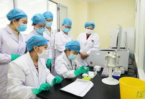 血液實(shí)驗(yàn)室加快新項(xiàng)目進(jìn)展 為提高檢測(cè)技術(shù)奠定良好基礎(chǔ)