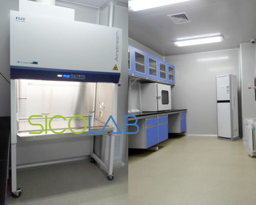 市級醫(yī)院核酸檢測實(shí)驗(yàn)室設(shè)計(jì) 裝修 建設(shè) 改造及儀器設(shè)備