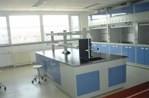 天津鋼木實驗臺批發按需定制 天津市保全實驗室設備