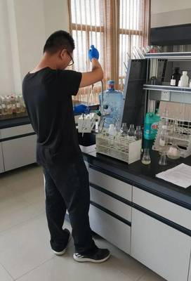 家燕歸巢|確認過眼神,小城遇上對的那些人