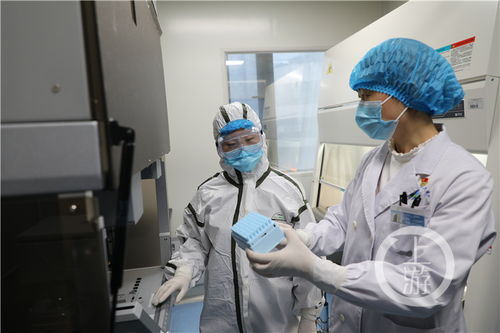 直擊抗疫一線 核酸檢測儀長啥樣 進入實驗室有啥要求 上游新聞為你打探
