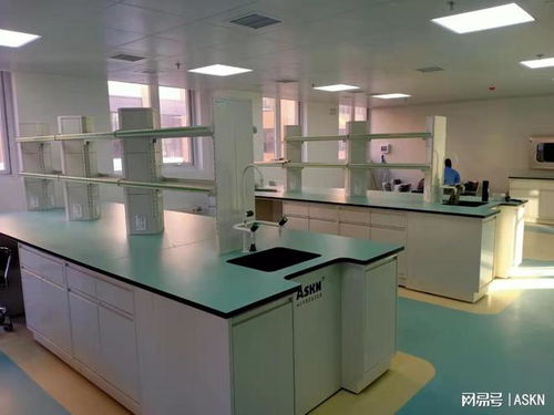 實(shí)驗(yàn)室建設(shè)