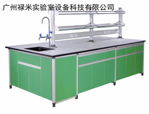 鋁木邊臺耐酸堿耐腐蝕生物技術病理 學校實驗室設備家具定制