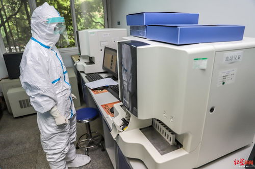 成都入境人員如何準確檢測核酸 我們走進了海關口岸疫情監測實驗室