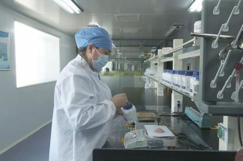 北林 強化科技創新引領 加快發展新質生產力