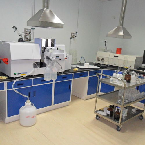 原子吸收罩 實(shí)驗(yàn)室設(shè)備 通風(fēng)系統(tǒng)工程 凈化系統(tǒng)工程