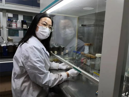 與科研為伴 實驗室打卡 他們的春節,很學霸