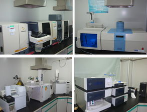 東方藥林 產(chǎn)品從實(shí)驗(yàn)室到生產(chǎn)線的艱難孕育