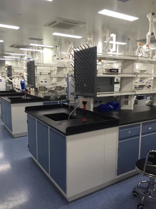 供應(yīng)東方通風(fēng)柜 化驗室通風(fēng)柜 東方實驗室設(shè)備供應(yīng)商