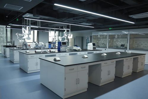 移植菌群點 矢 成金,承葛醫(yī)藥引領(lǐng)微生態(tài)醫(yī)療革新 民營企業(yè)尋龍記