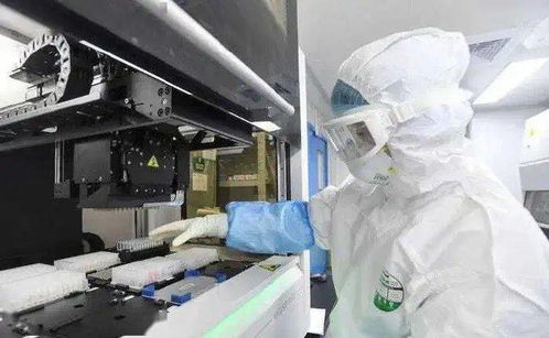 疫情突變 三文魚案板測出新冠,46人感染 病毒首次出現(xiàn)動物傳人,37萬生命被撲殺