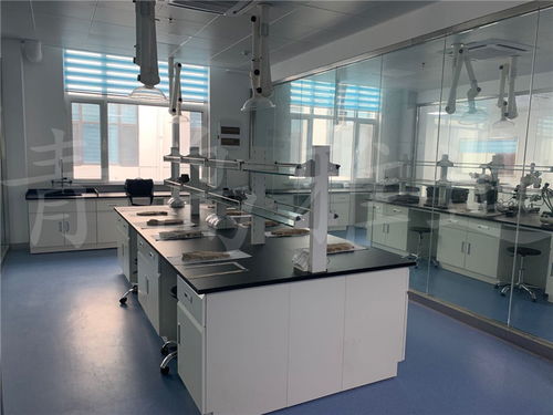 什么是合理的實驗室設計建設 要點有哪些