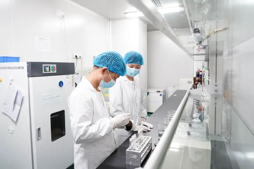 專注醫(yī)療科技 廈門海滄企業(yè)深耕微創(chuàng)耗材研發(fā)與實驗室儀器保養(yǎng)服務(wù)